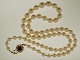 ebuy.dk pr�senterer: Erik S. Cohn-P�lsson, gl. halsk�de i forl�b m. ...N�ste bud:370 DKK