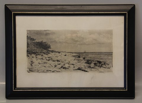Carl Bloch Radering af kystlandskab 1889 29 x 40 cm iinklusiv gl. sort træramme