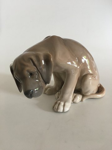 Royal Copenhagen Figurine af Hund "Bob" No. 318