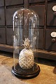 Dekorativ , 
gammel 
cylinderformet 
fransk glas 
Dome / ...