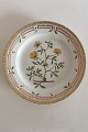 Royal Copenhagen Gammel Flora Danica Frokosttallerken #3550. Måler 22,5cm og er i perfekt stand. ...