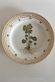 Royal Copenhagen Gammel Flora Danica Frokosttallerken #3550. Måler 22,5cm og er i perfekt stand. ...