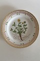 Royal Copenhagen Gammel Flora Danica Frokosttallerken #3550. Måler 22,5cm og er i perfekt stand. ...