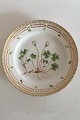 Royal Copenhagen Gammel Flora Danica Frokosttallerken #3550. Måler 22,5cm og er i perfekt stand. ...