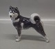 Kgl. Sibirsk Husky figur fra Royal Copenhagen 0353 Kgl. Husky/Spitz 1244 0038 Grønlandsk ...