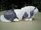 Kongelig porcelæn. Design Jeanne grut. Shetlandspony. I. sort. Nr. 4611 L. 13.3 cm. H. 5 cm.
