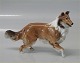 Hutchenruther hund Tyskland 15 x 11 cm Collie I fin og hel stand