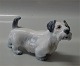 Dahl Jensen 1002 Sealyham terrier 17 cm (DJ). Mærket med kongelig krone og DJ Copenhagen i hel ...