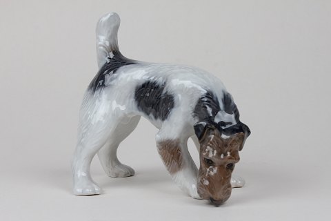 Royal Copenhagen
Wirehaired Terrier (m)
3020