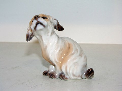 Dahl Jensen figurine
Malthese dog