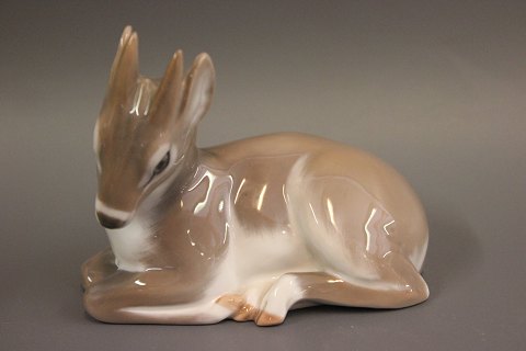 Deer with horn Royal Copenhagen no. 2648. Design Knud Kyhn. 5000m2 Showroom