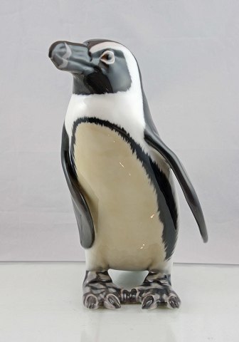 Stor Pingvin1822B&G