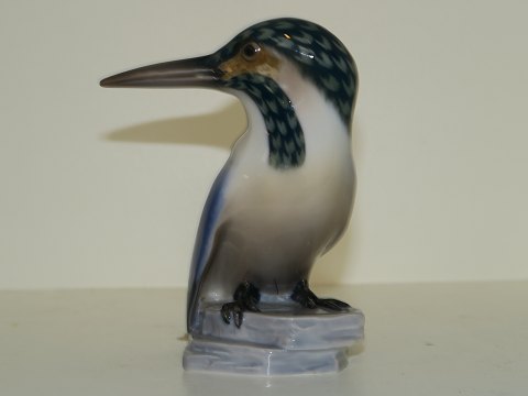 Bing & Grondahl figurine
Kingfisher bird
