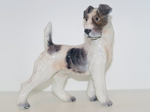 Large Dahl Jensen figurine
Wirehaired terrier