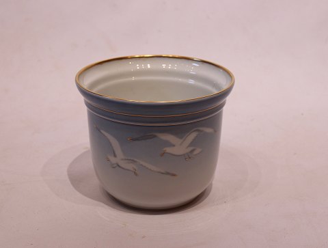 Flowerpot with gilded edge, Sea Gull by B&G.
5000m2 showroom.
