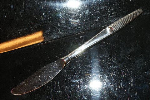 Dinner knife Eva Silver
Length 20 cm.