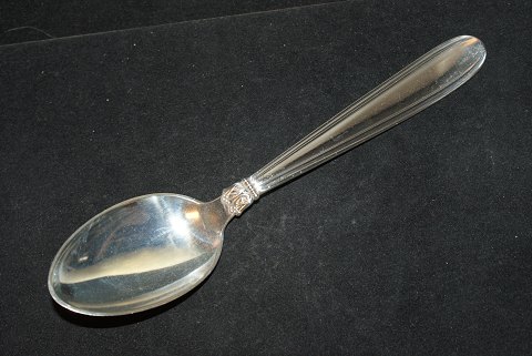 Dessert spoon / Lunch spoon Karina Silver