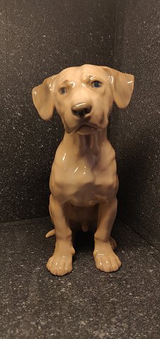 1746 Bing and Groendahl mastiff dog figurine