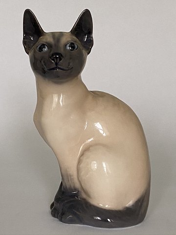 Siamesische Katze
Royal Copenhagen
Porcelæn