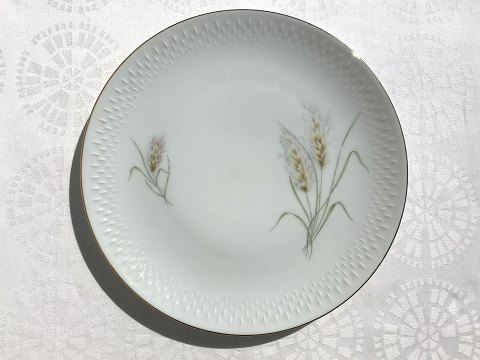 Bavaria
Aksbo
dinner Plate
* 75kr