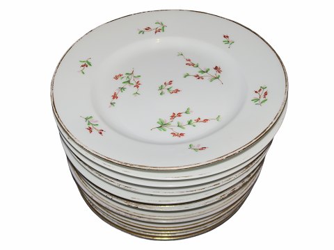 Barberry
Small dinner plate 22 cm.