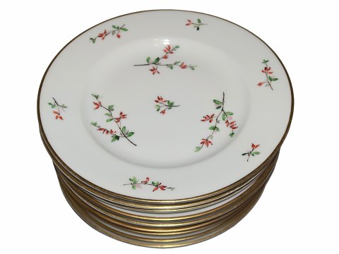 Barberry
Luncheon plate 20 cm.