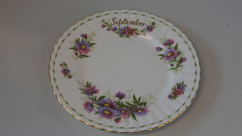 Breakfast plate "Septemper" Royal Albert Monthly
English Stel
Flower motif: Michaelmas Daisy