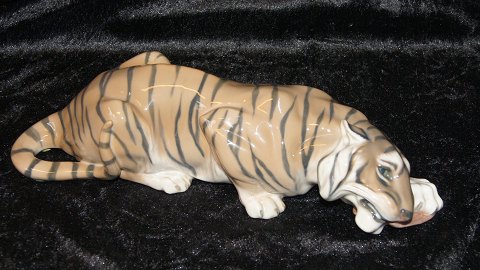 Royal Copenhagen Tiger der gnaver et ben
Dek nr #2065 Kgl.
Længde 36 cm