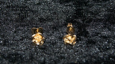 Elegant Earrings in 8 Carat Gold