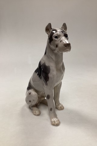 Bing og Grøndahl Figur af Siddende Grand Danois Hund No 2038
