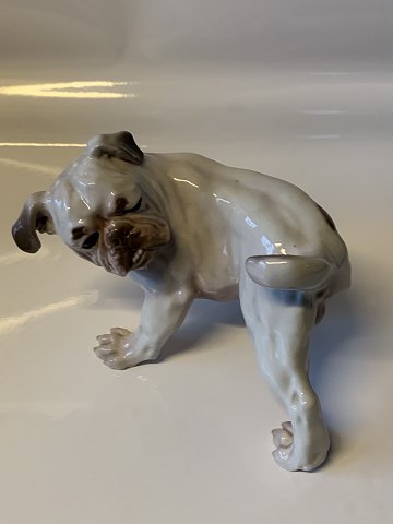 Bing & Grøndahl dog figure, English Bulldog.
Tire no #1992.
2. Sorting.
Length 17.0 cm.