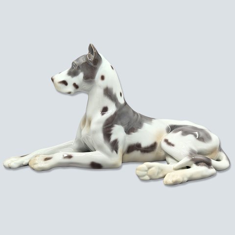 Bestellnummer: 597199