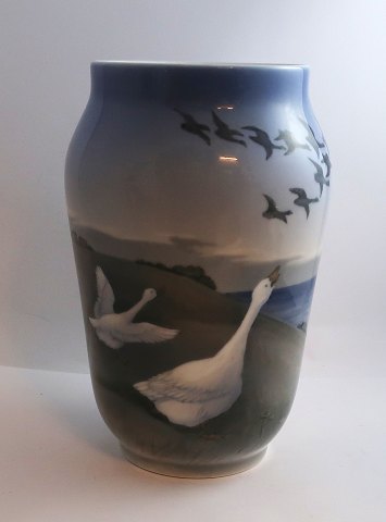 item no: 616518