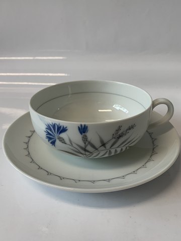 item no: 617331