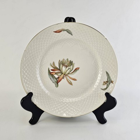 item no: 622069
