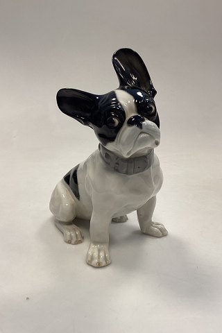 Tysk Heubach Porcelænsfigur af Fransk Bulldog