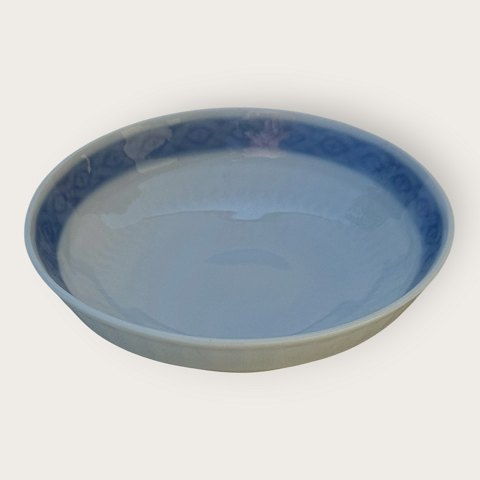 Royal C: Blauer Fan / Bl� ...