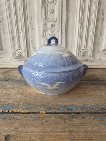 main
