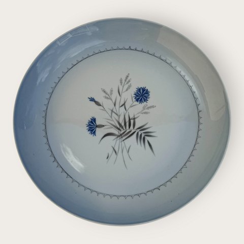 main