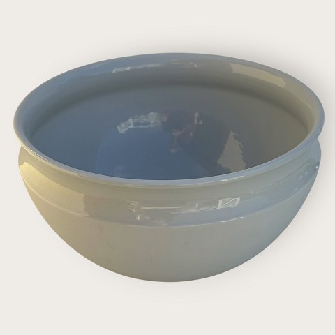 item no: 646050