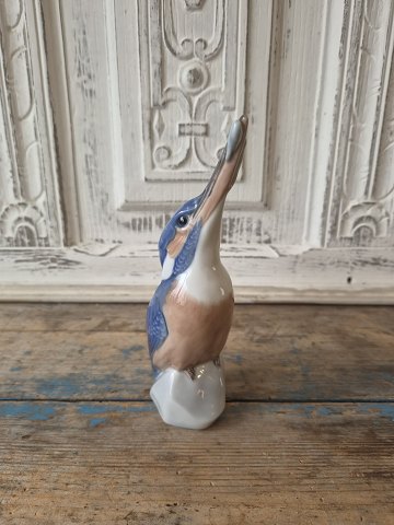 Porcelæn & Fajance