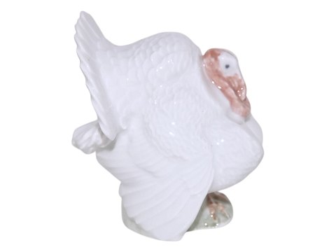 main