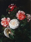 I.L. Jensen 1800-1856 skole