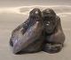 Kongelig Dansk 721 Kgl. Orangutang - par 10 x 14 cm  (Pongo pygmaeus) Knud Kyhn 
1906