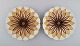 To antikke Meissen tallerkener i håndmalet porcelæn. Lysebrune blomster og 
gulddekoration. Tidligt 1900-tallet.
