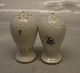 052 Salt & Pepper B&G Saxon Flower Creme porcelain