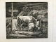Radering af Johannes Vilhelm Zillen 1859 - Ko og kalv i ...