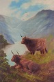 Britisk kunstner, olie på lærred. Skotsk højlandskvæg i landskab.
