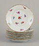 Eight German lunch plates in porcelain.