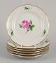 Meissen, Germany.
Six "Pink Rose" plates.